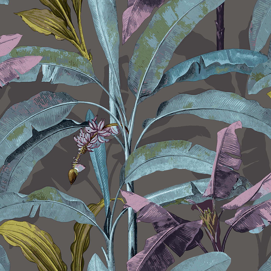 FLORA