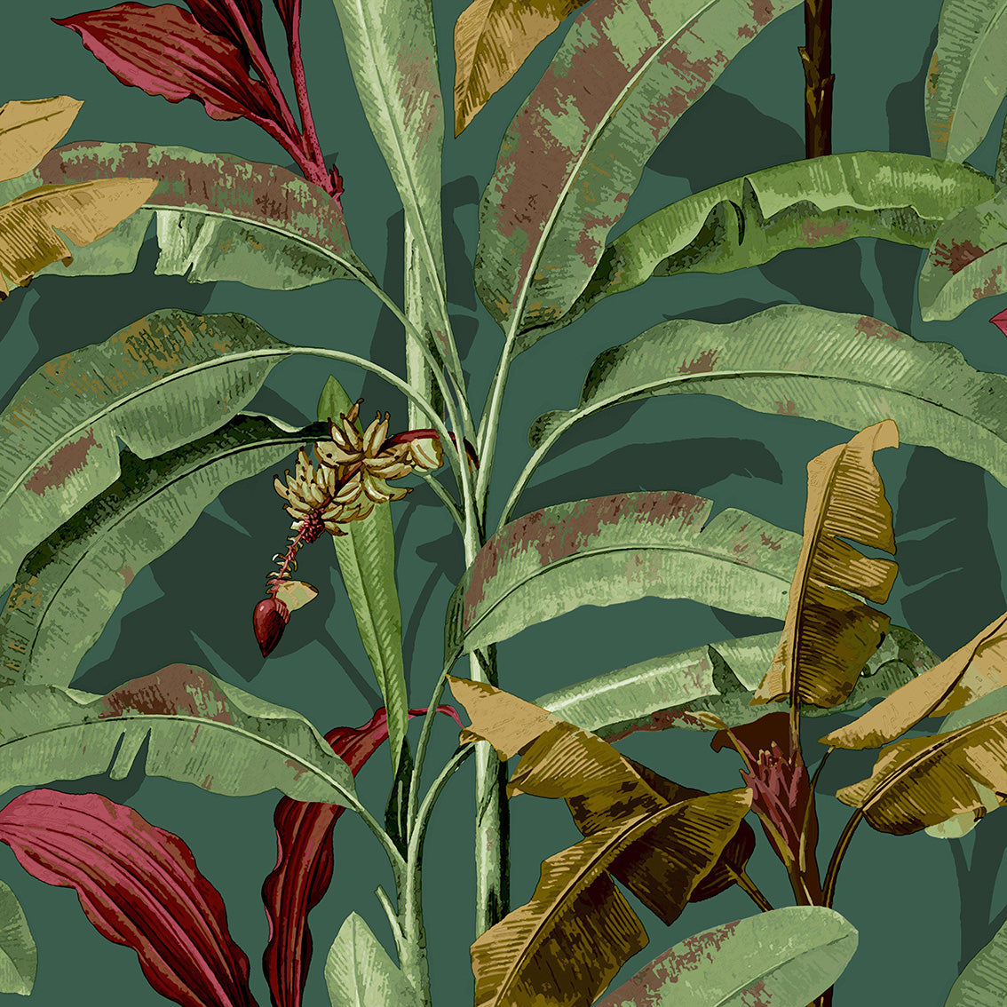 FLORA
