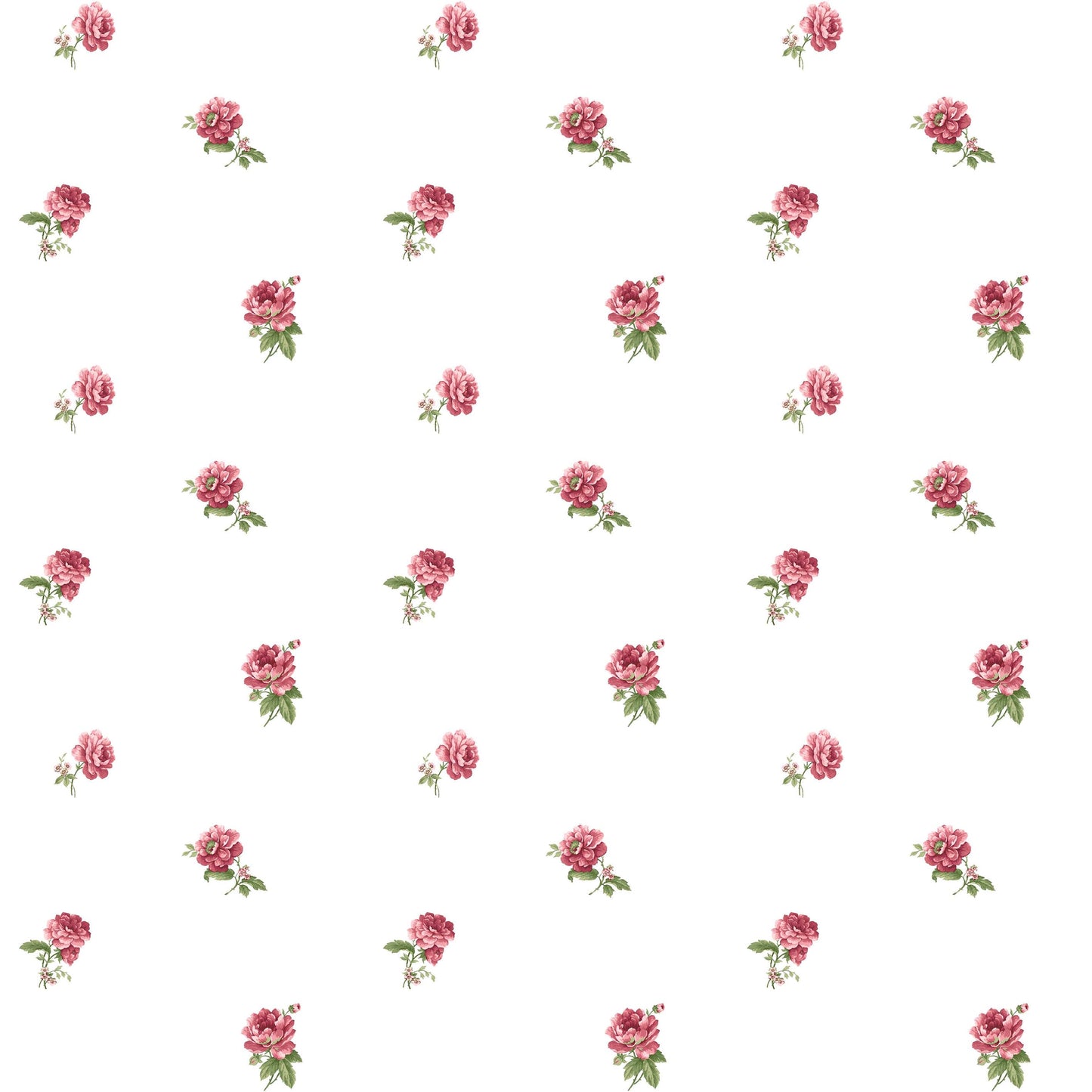 BLOOMING GARDEN