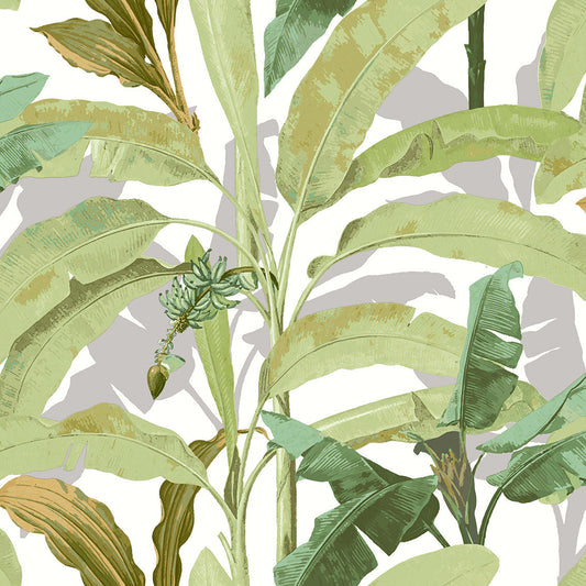 FLORA
