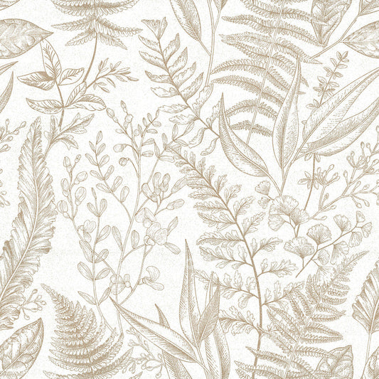 FLORA