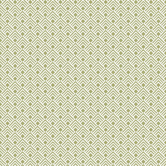 Rio Textura articolo 2050