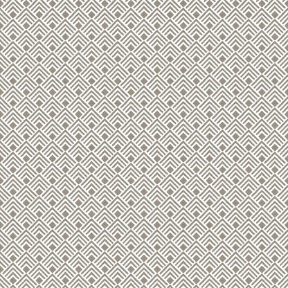 Rio Textura articolo 2052