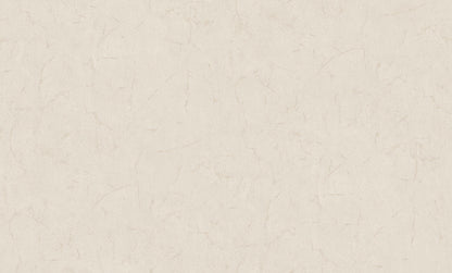 Metamorphosis Ignis Mutatio colore Beige articolo 6612