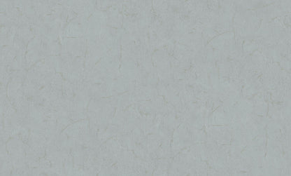 Metamorphosis Ignis Mutatio colore Grigio articolo 6616