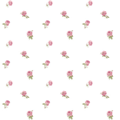 BLOOMING GARDEN