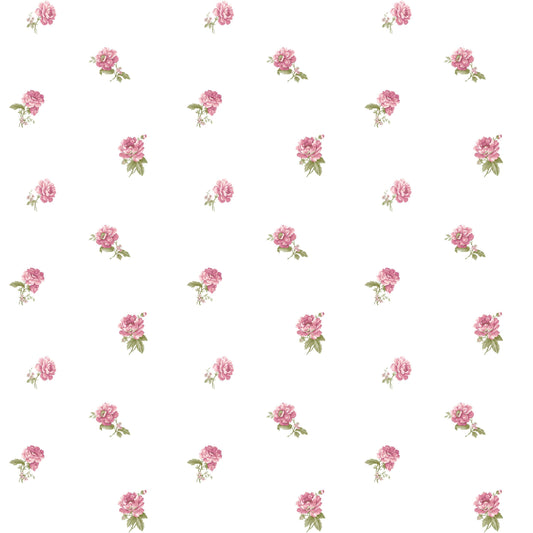 BLOOMING GARDEN