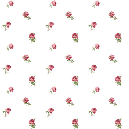 BLOOMING GARDEN
