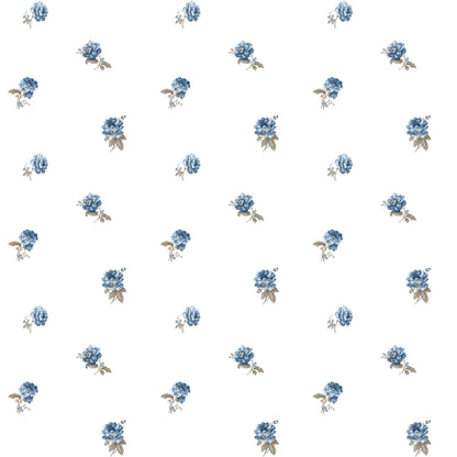 BLOOMING GARDEN